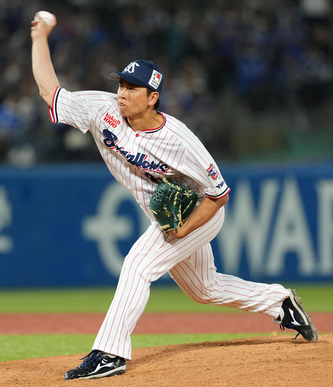 ヤクルト柴田大地（24年5月撮影）