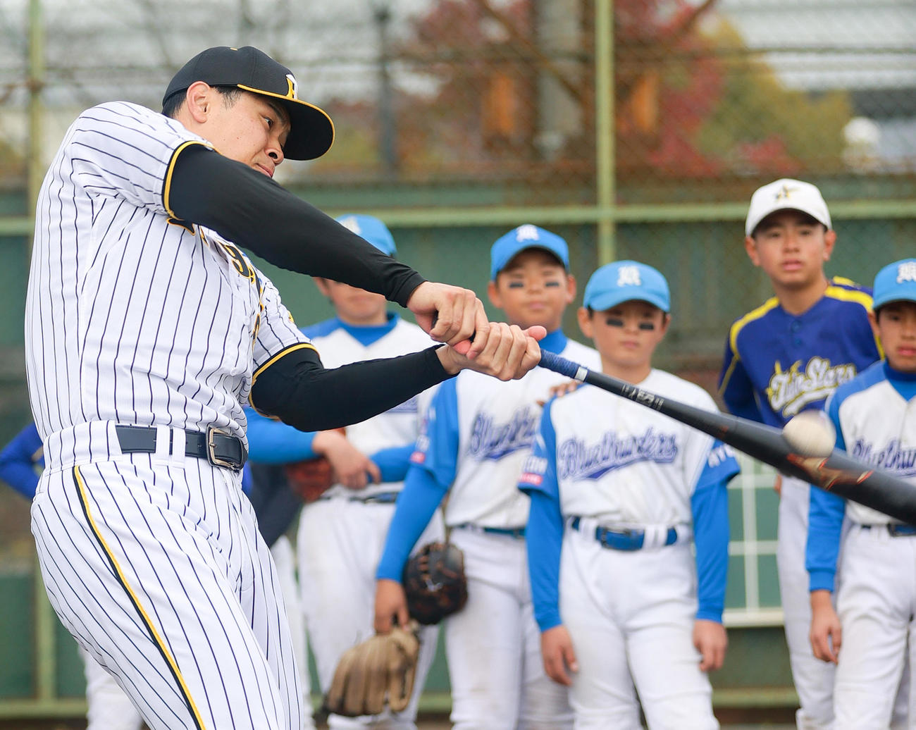 野球教室で豪快な打撃を披露する阪神佐藤輝（撮影・上山淳一）