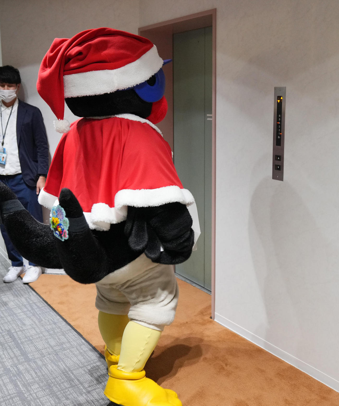 球団事務所を訪れるも年内営業が終了がしており契約更改ができなかったつば九郎は肩を落としながら引き揚げる（撮影・垰建太）