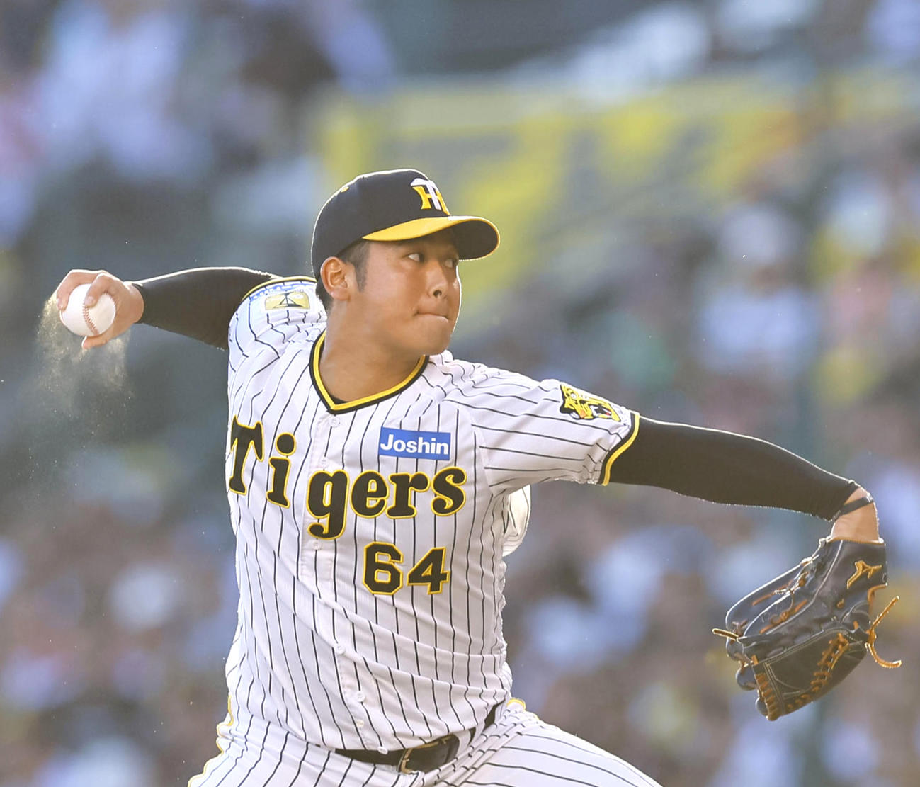阪神岡留英貴（2024年撮影）