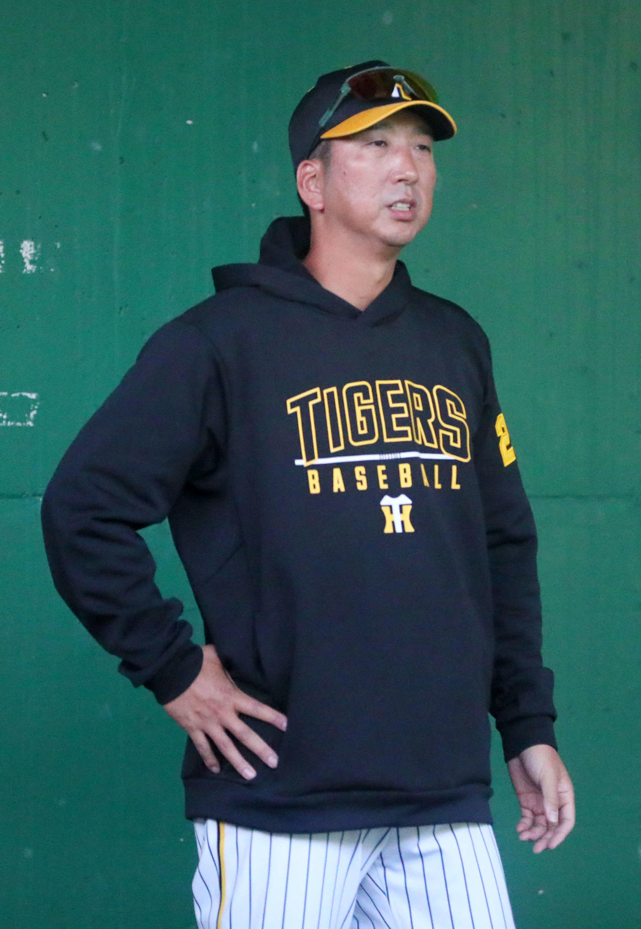 阪神藤川球児監督（2024年11月14日撮影）