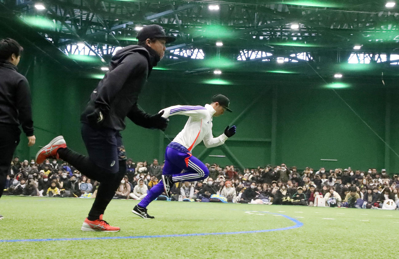 地元淡路島で自主トレを公開しファンの前でダッシュする村上（左）と近本（撮影・加藤哉）