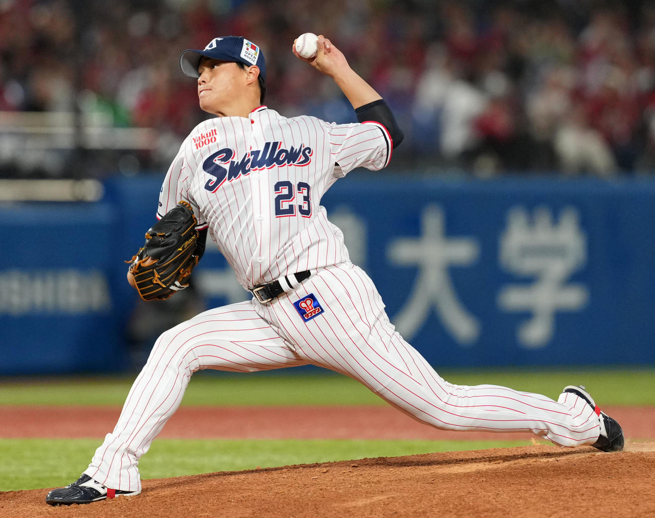 ヤクルト先発の高橋圭二（2024年10月2日撮影）