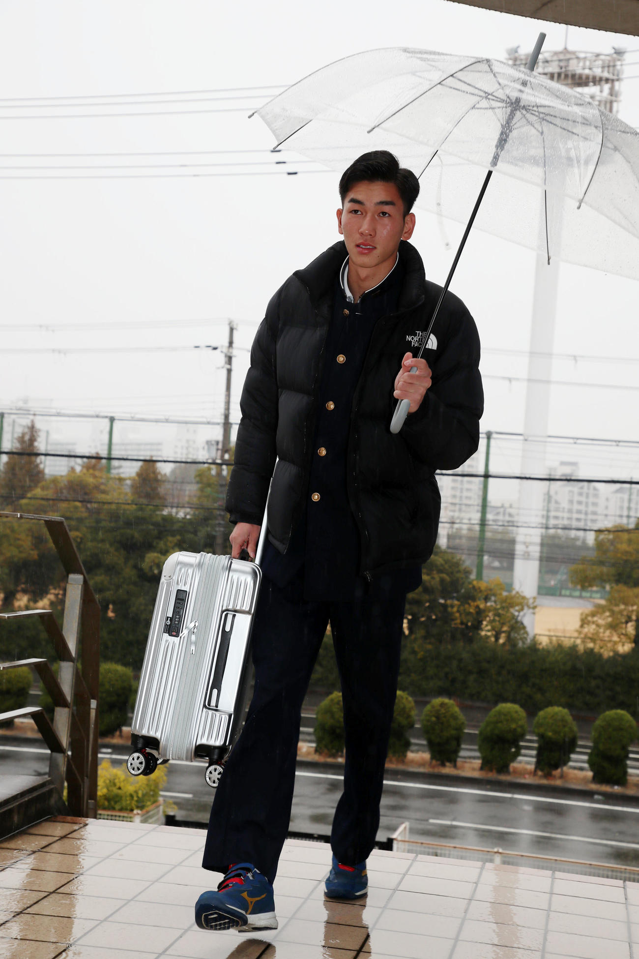 虎風荘へ入寮する今朝丸（撮影・加藤哉）