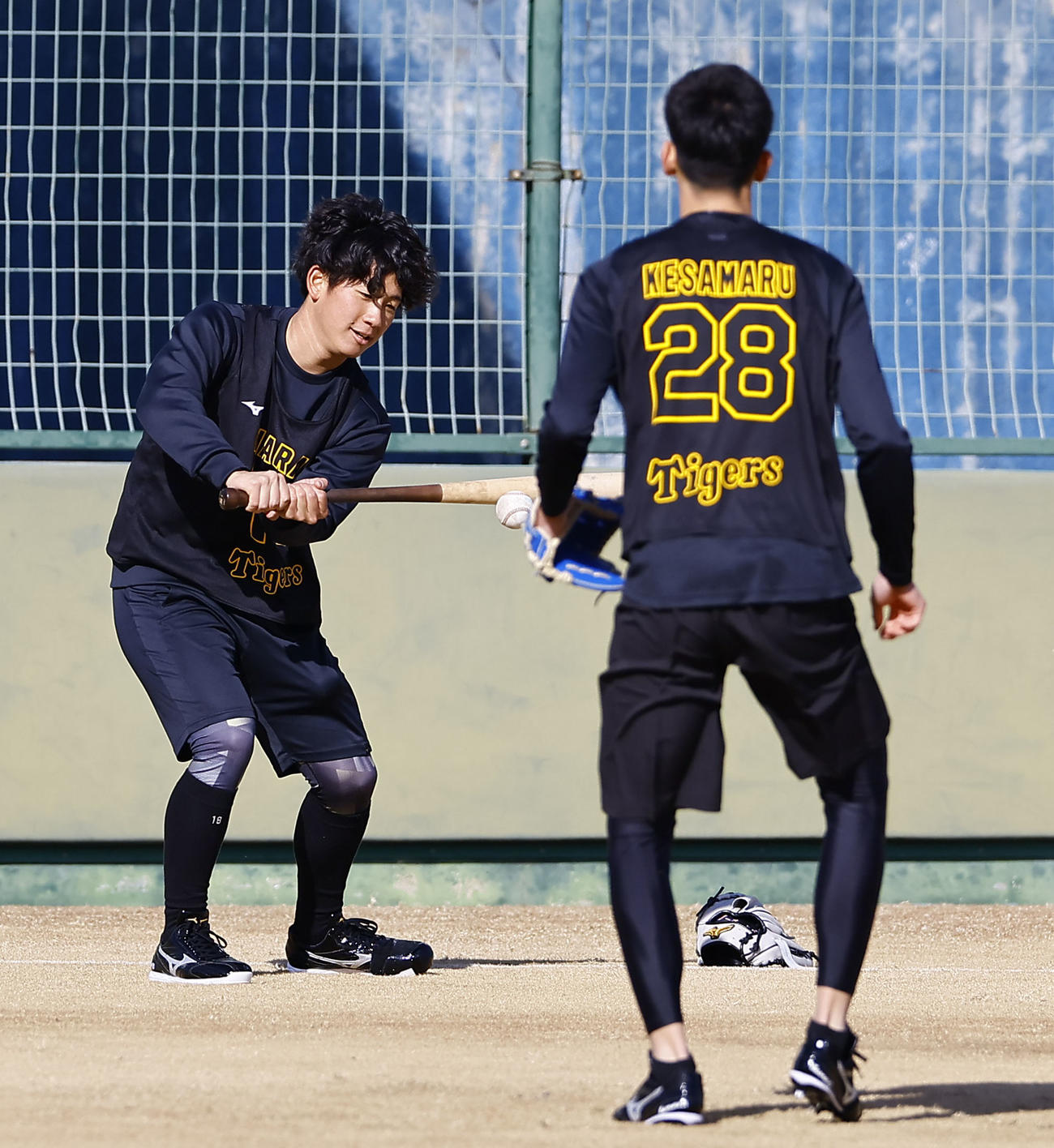 新人合同自主トレでトスバッティングをする阪神伊原（撮影・藤尾明華）