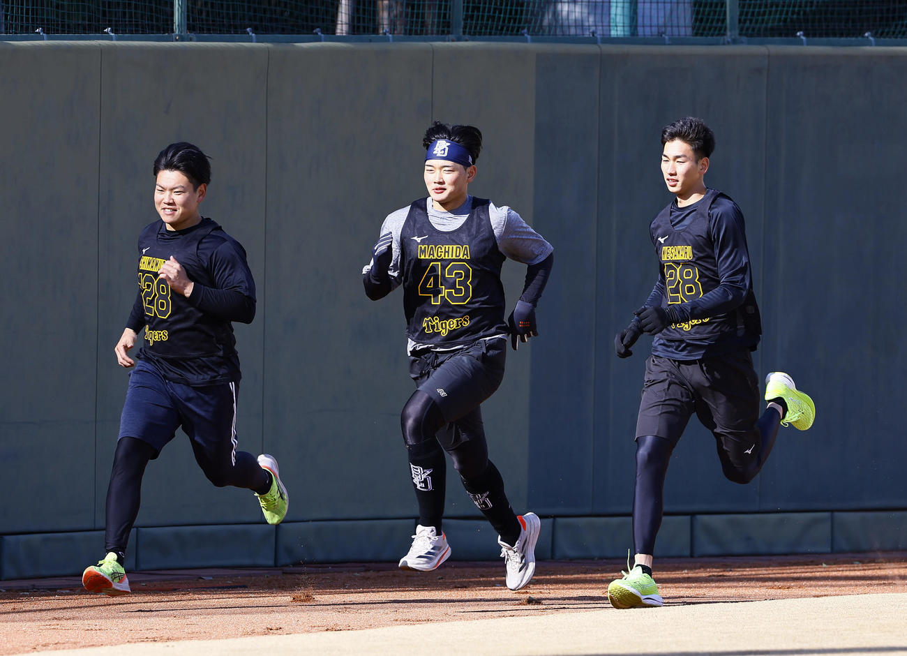 阪神新人合同自主トレでダッシュする左からから嶋村、町田、今朝丸（撮影・藤尾明華）