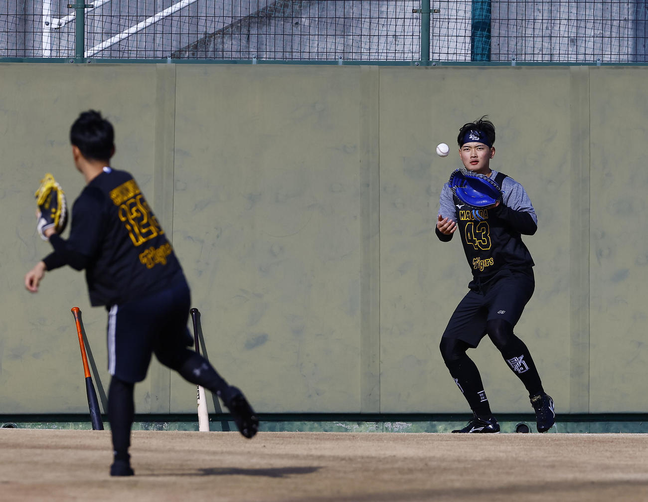 新人合同自主トレで嶋村（左）とキャッチボールをする阪神町田（撮影・藤尾明華）