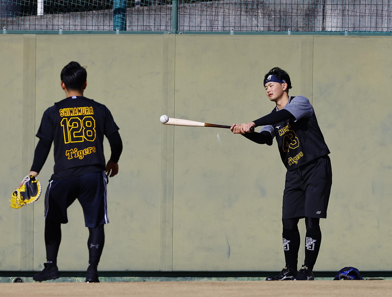 新人合同自主トレでトスバッティングをする阪神町田（撮影・藤尾明華）