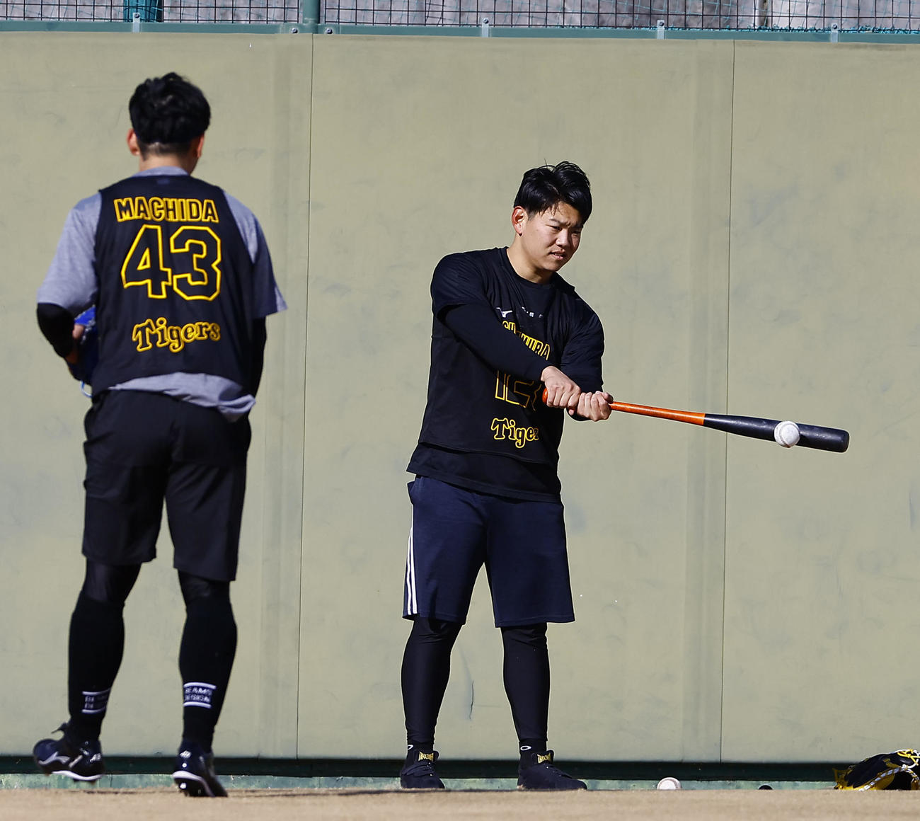 新人合同自主トレでトスバッティングをする阪神嶋村（撮影・藤尾明華）