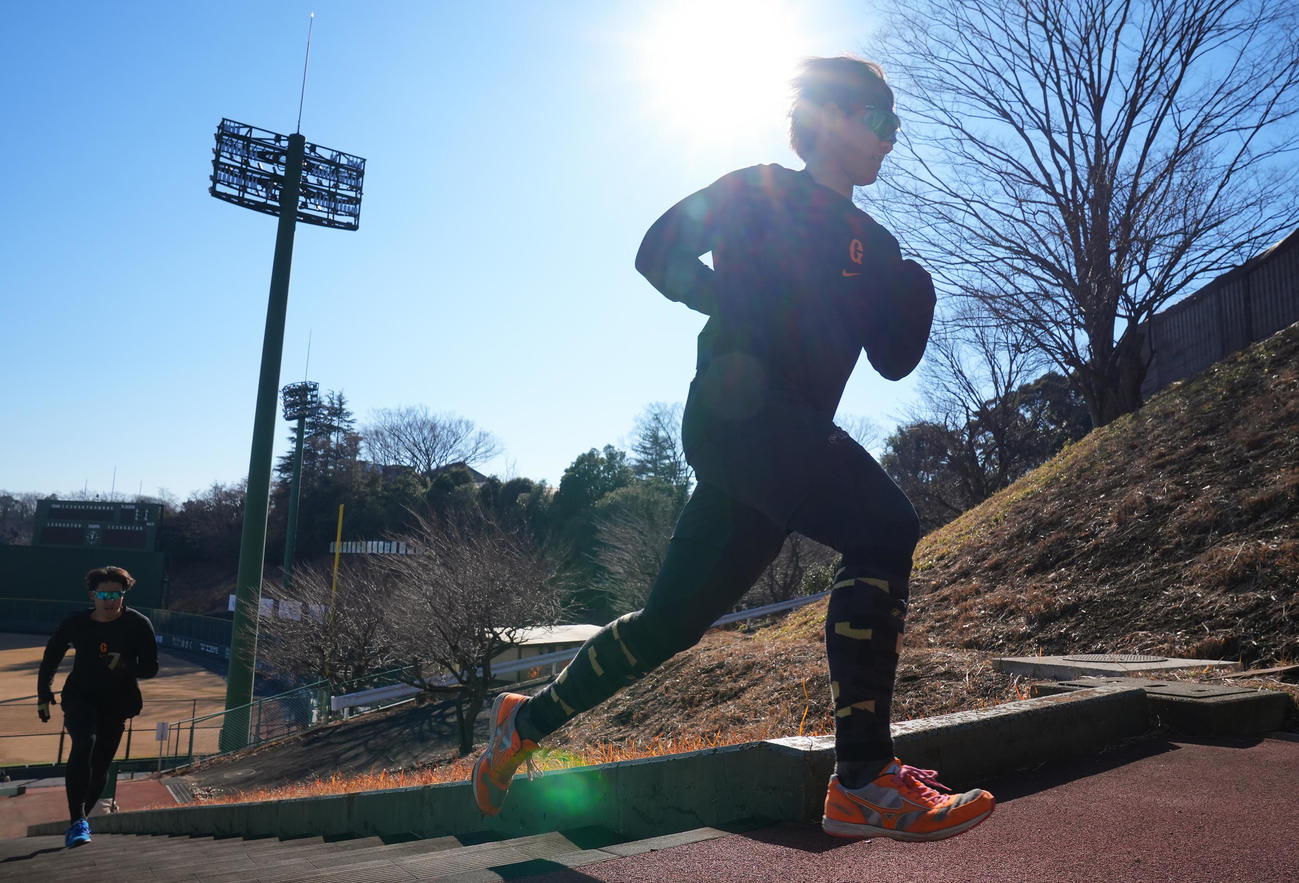 自主トレで階段ダッシュを繰り返す巨人井上（手前）と堀田（撮影・垰建太）