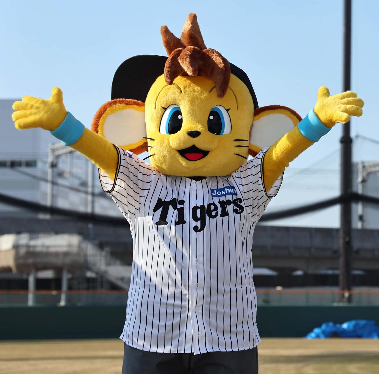 阪神タイガースに入団したコラッキー（撮影・上田博志）