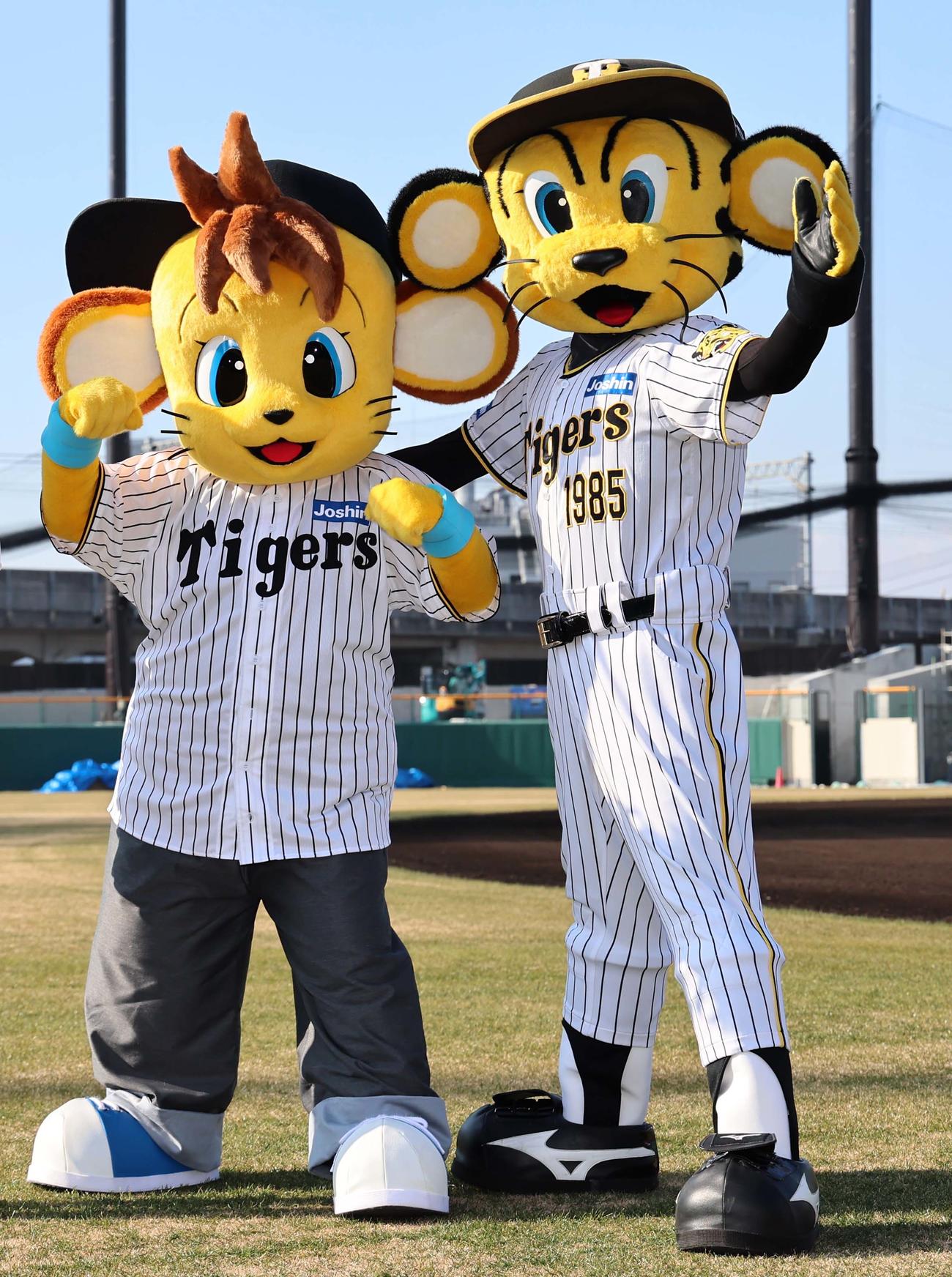 阪神タイガースに入団したトラッキー（右）の弟のコラッキー（撮影・上田博志）