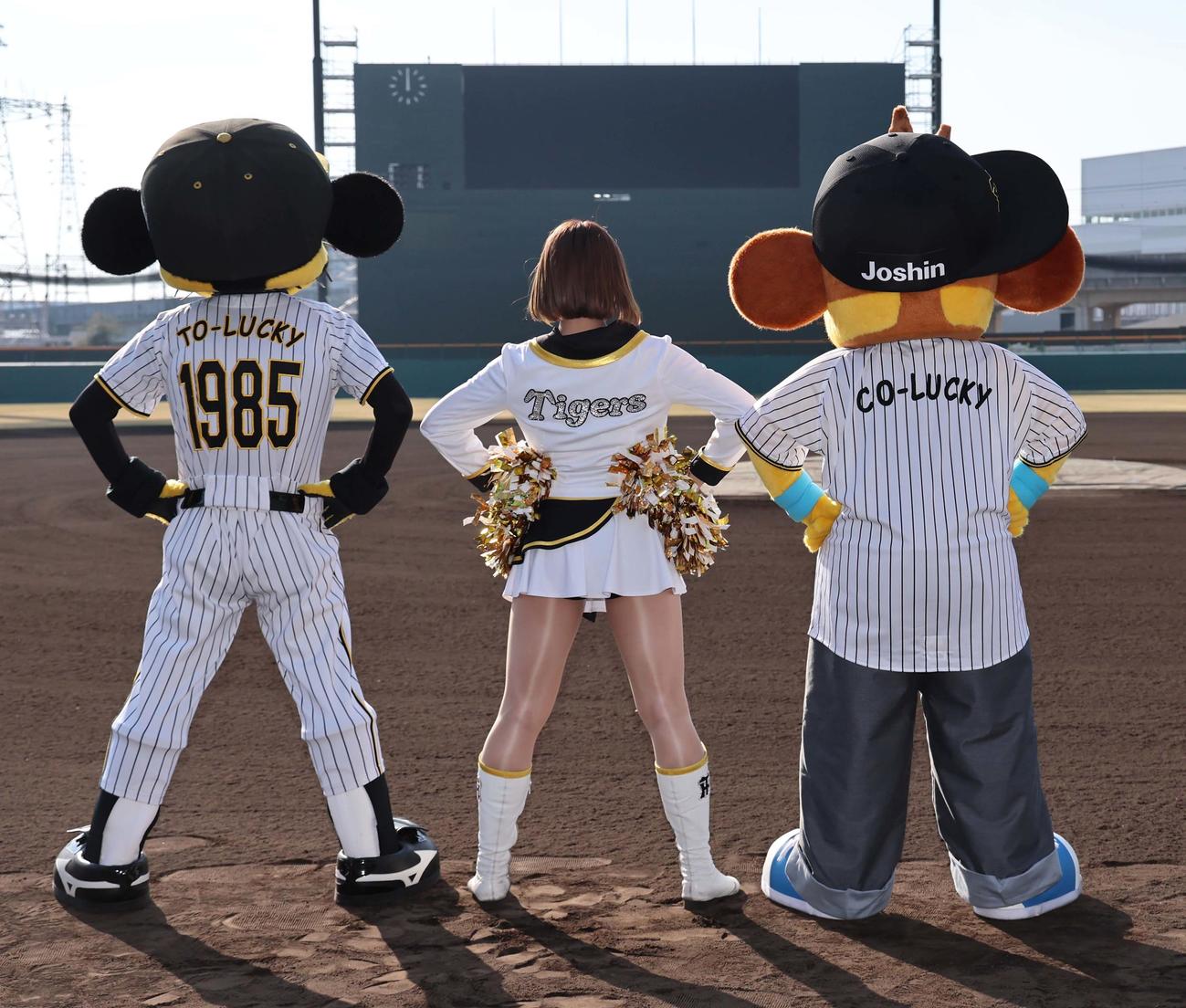 阪神タイガースに入団したコラッキー（右）は兄のトラッキー（左）タイガースガールズキャプテンのNonoaとポーズを決める（撮影・上田博志）