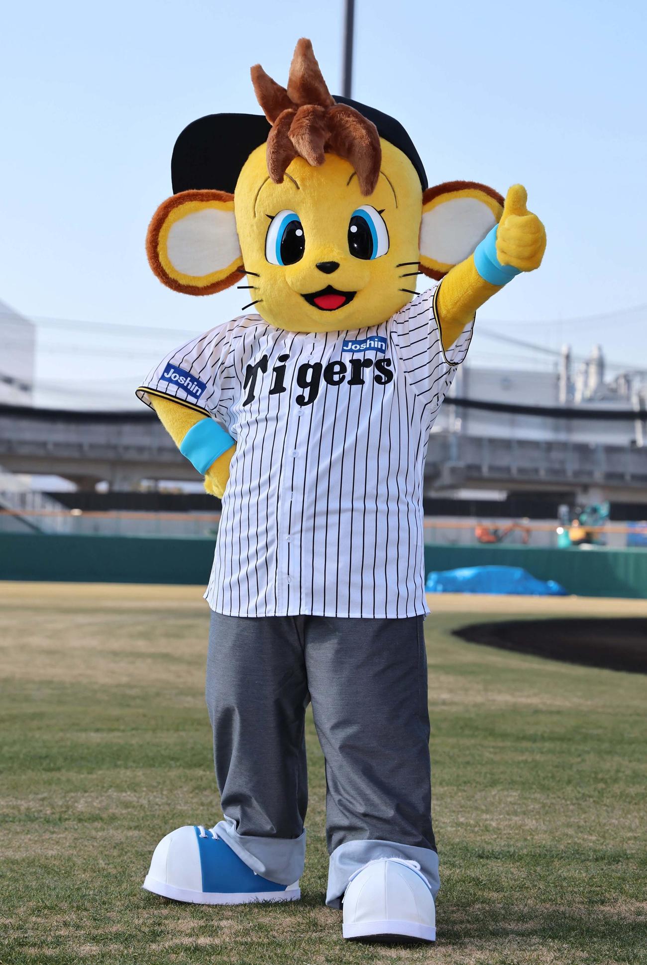 阪神タイガースに入団したコラッキー（撮影・上田博志）