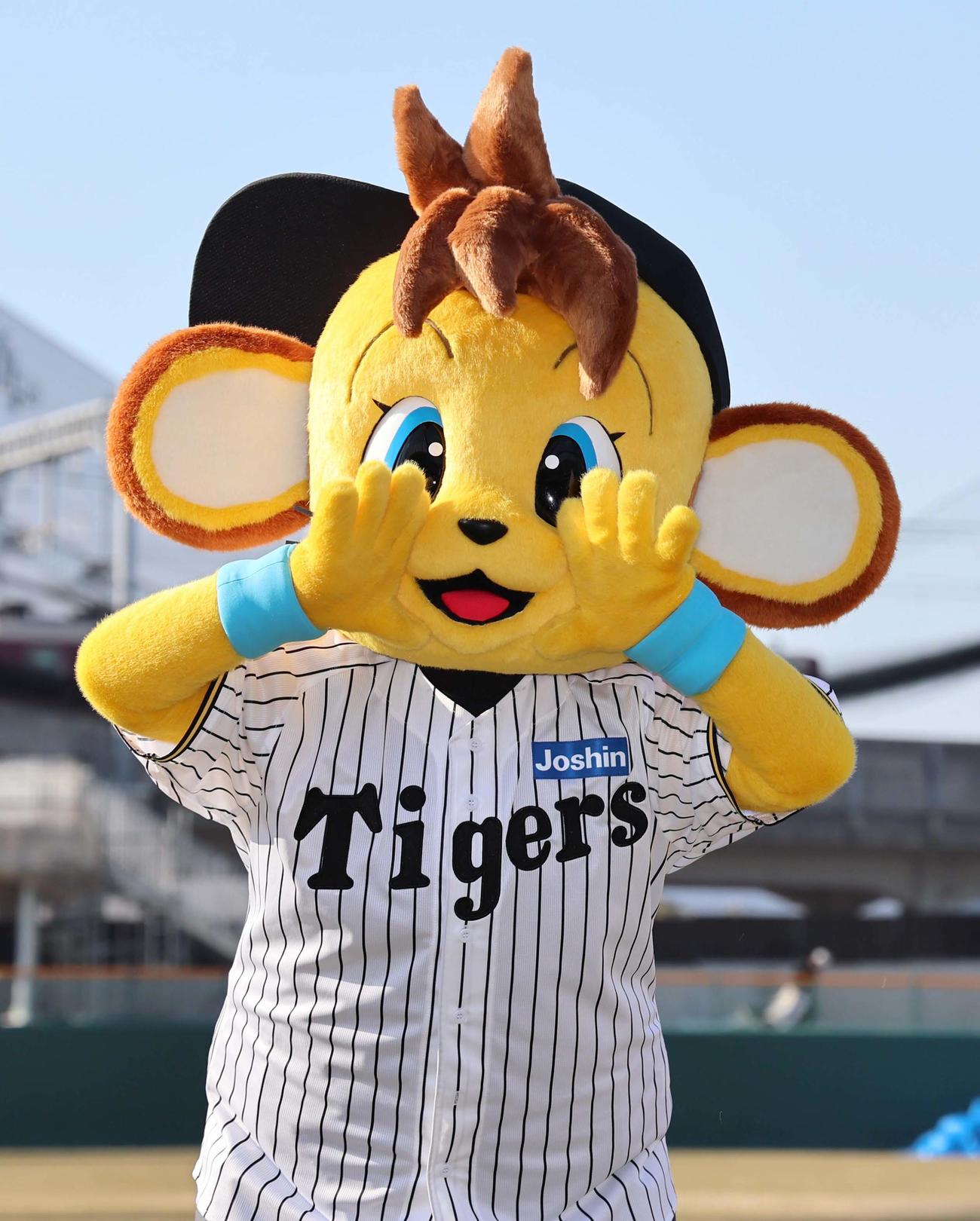 阪神タイガースに入団したコラッキー（撮影・上田博志）