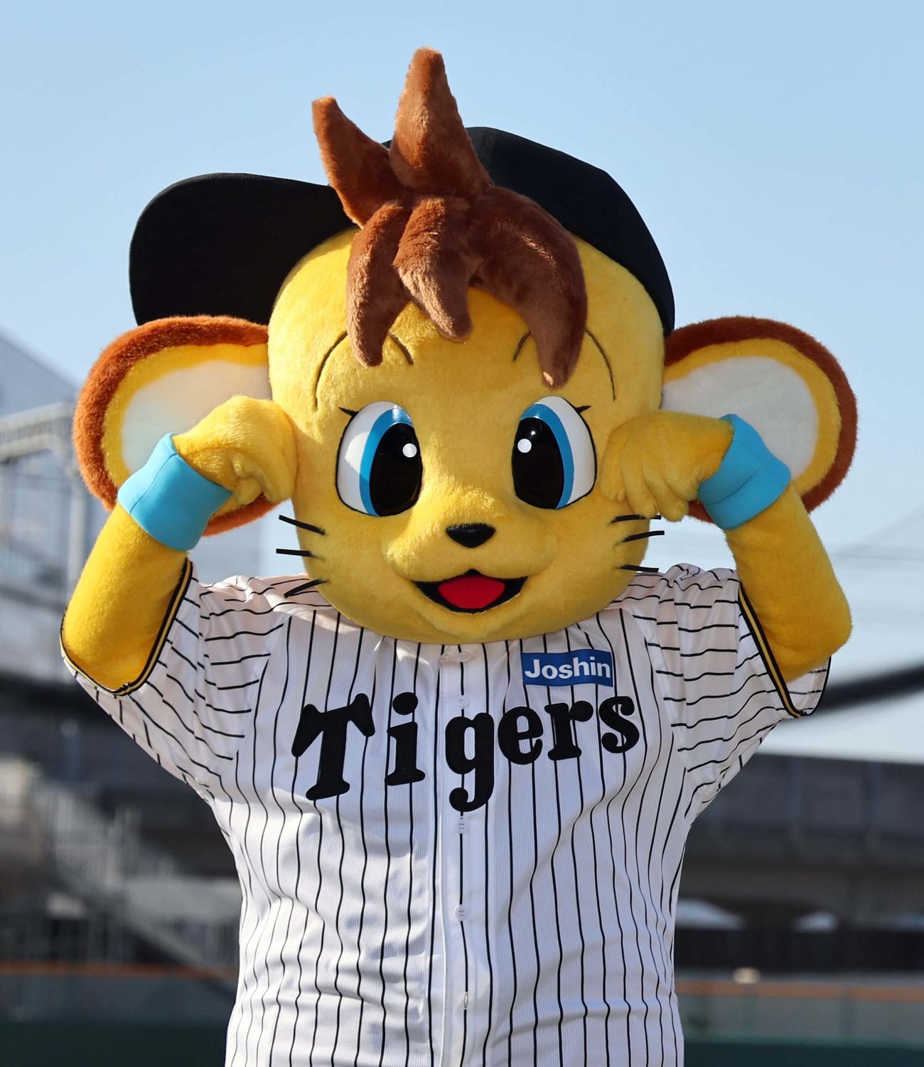阪神タイガースに入団したコラッキー（撮影・上田博志）