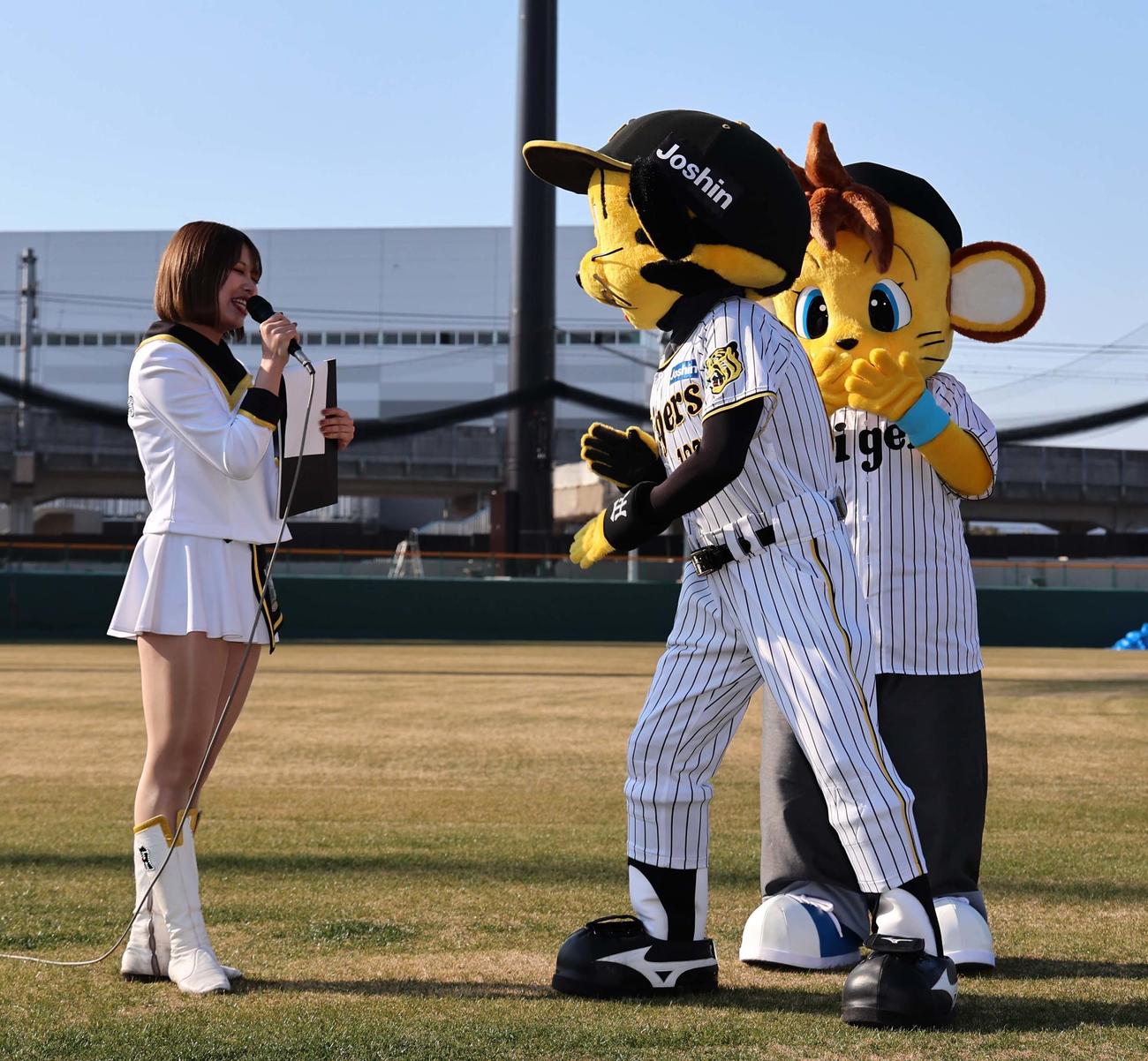 阪神タイガースに入団したコラッキー（右）の契約内容に関する質問を遮る兄のトラッキー。左は質問をしたタイガースガールズNonoa（撮影・上田博志）