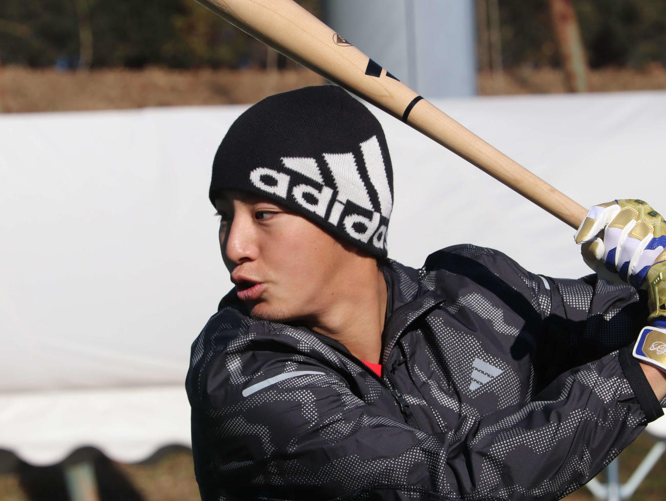 自主トレを公開し、ティー打撃を行うDeNA度会（撮影・小早川宗一郎）