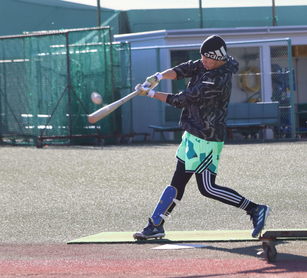 自主トレを公開し、フリー打撃を行うDeNA度会（撮影・小早川宗一郎）