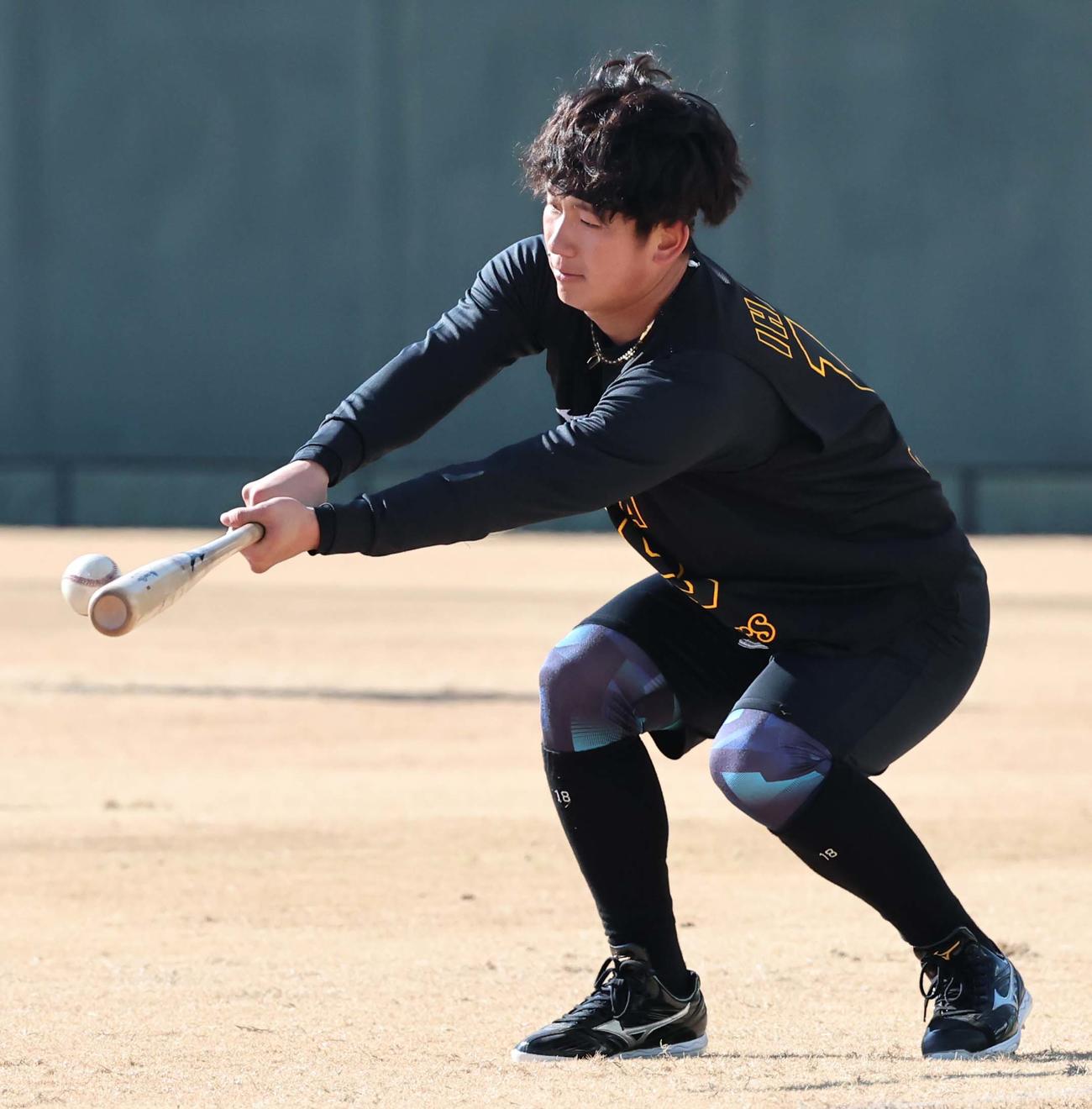 ペッパーをする伊原（撮影・上田博志）