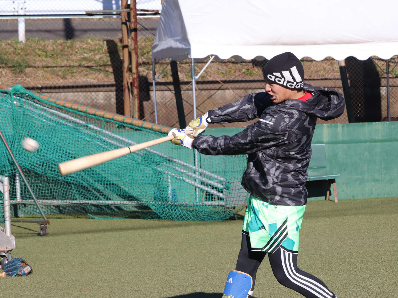 自主トレを公開し、ティー打撃を行うDeNA度会（撮影・小早川宗一郎）