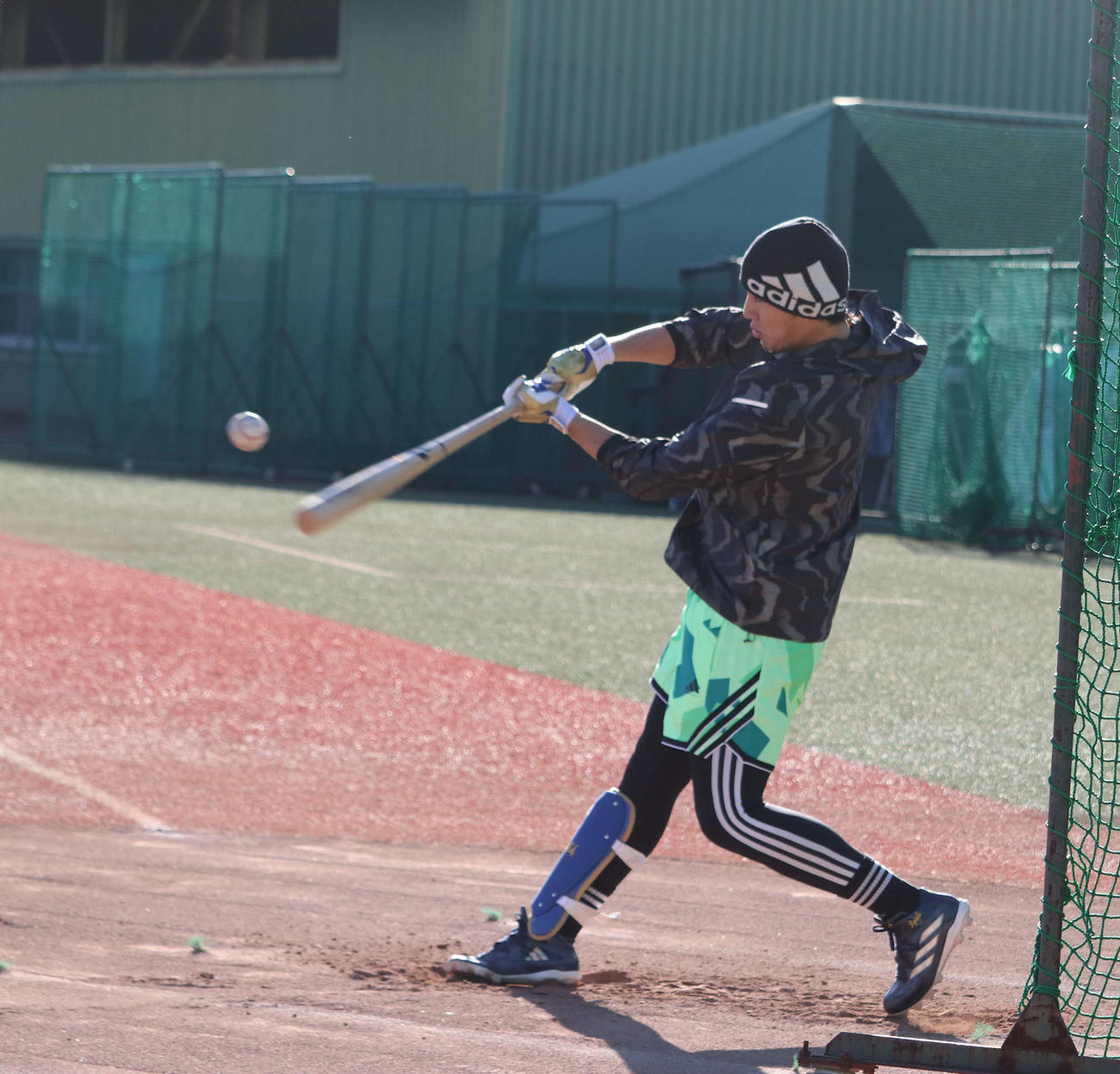 自主トレを公開し、フリー打撃を行うDeNA度会（撮影・小早川宗一郎）
