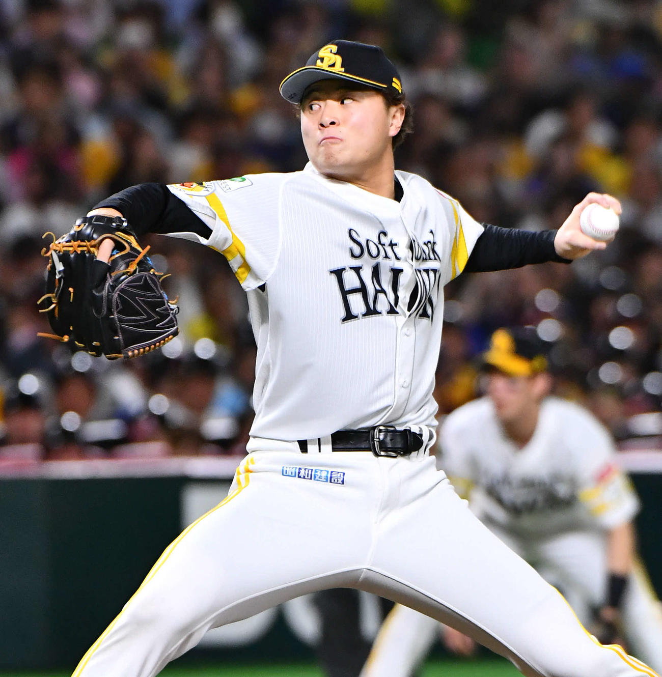 ソフトバンク前田純（2024年10月撮影）