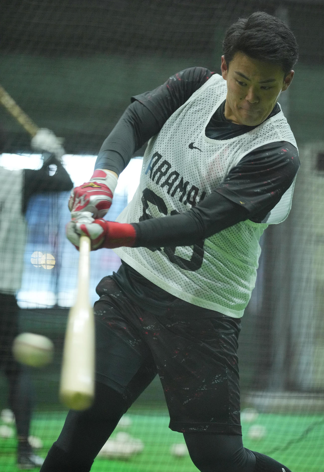 室内で打撃練習に臨む巨人荒巻（撮影・垰建太）