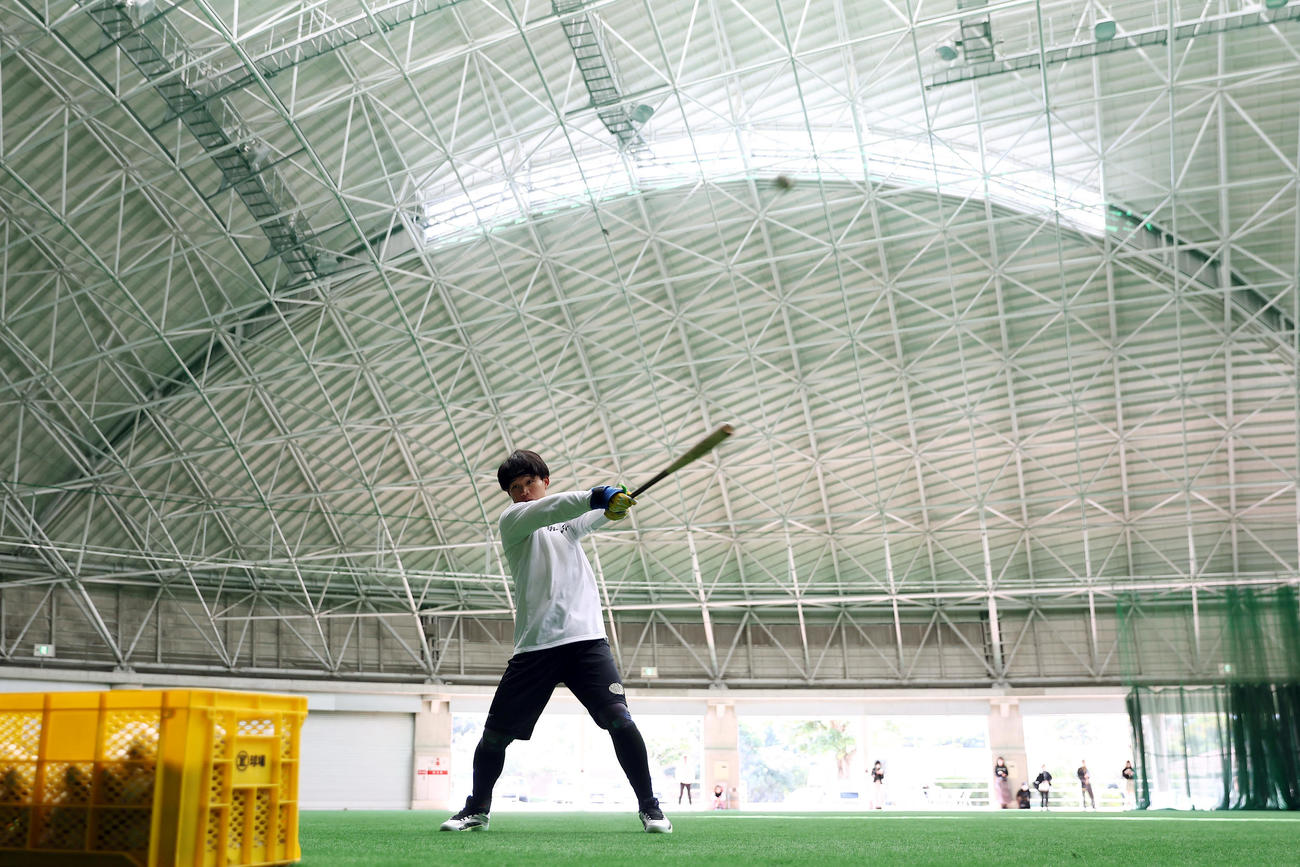 自主トレを公開し、打撃練習を行う阪神森下（撮影・前田充）