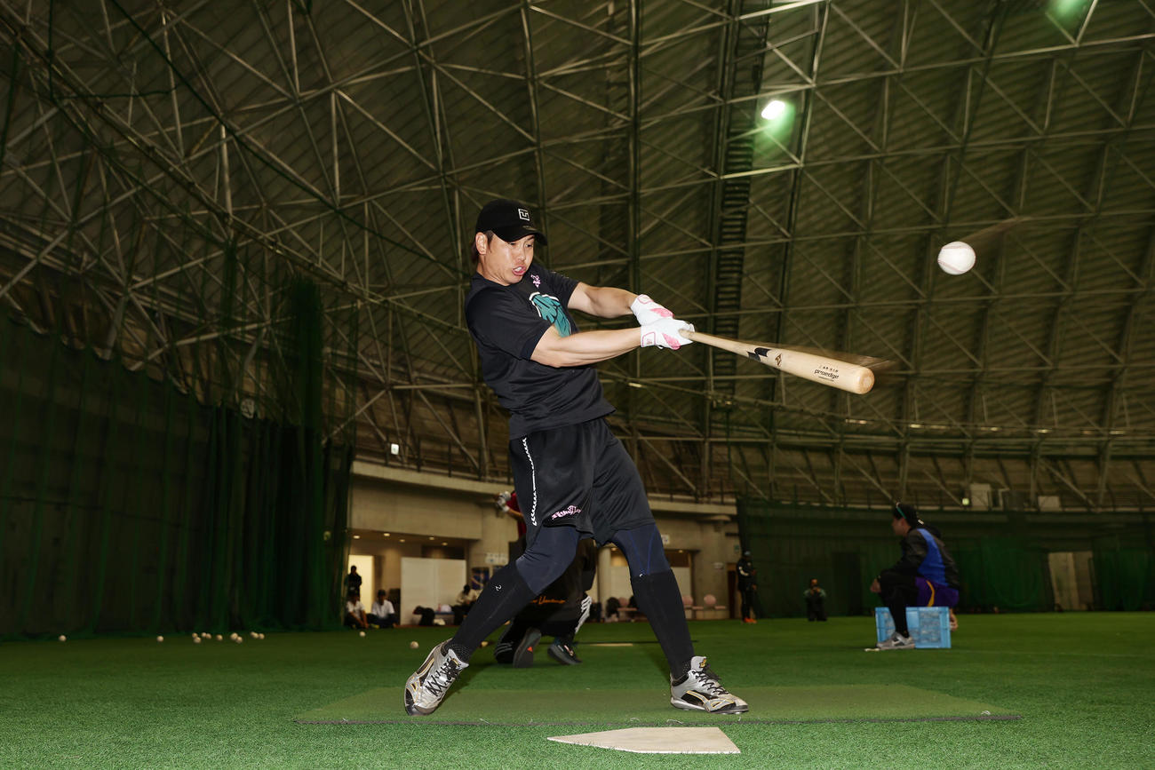 自主トレを公開し、打撃練習に臨む阪神梅野（撮影・前田充）
