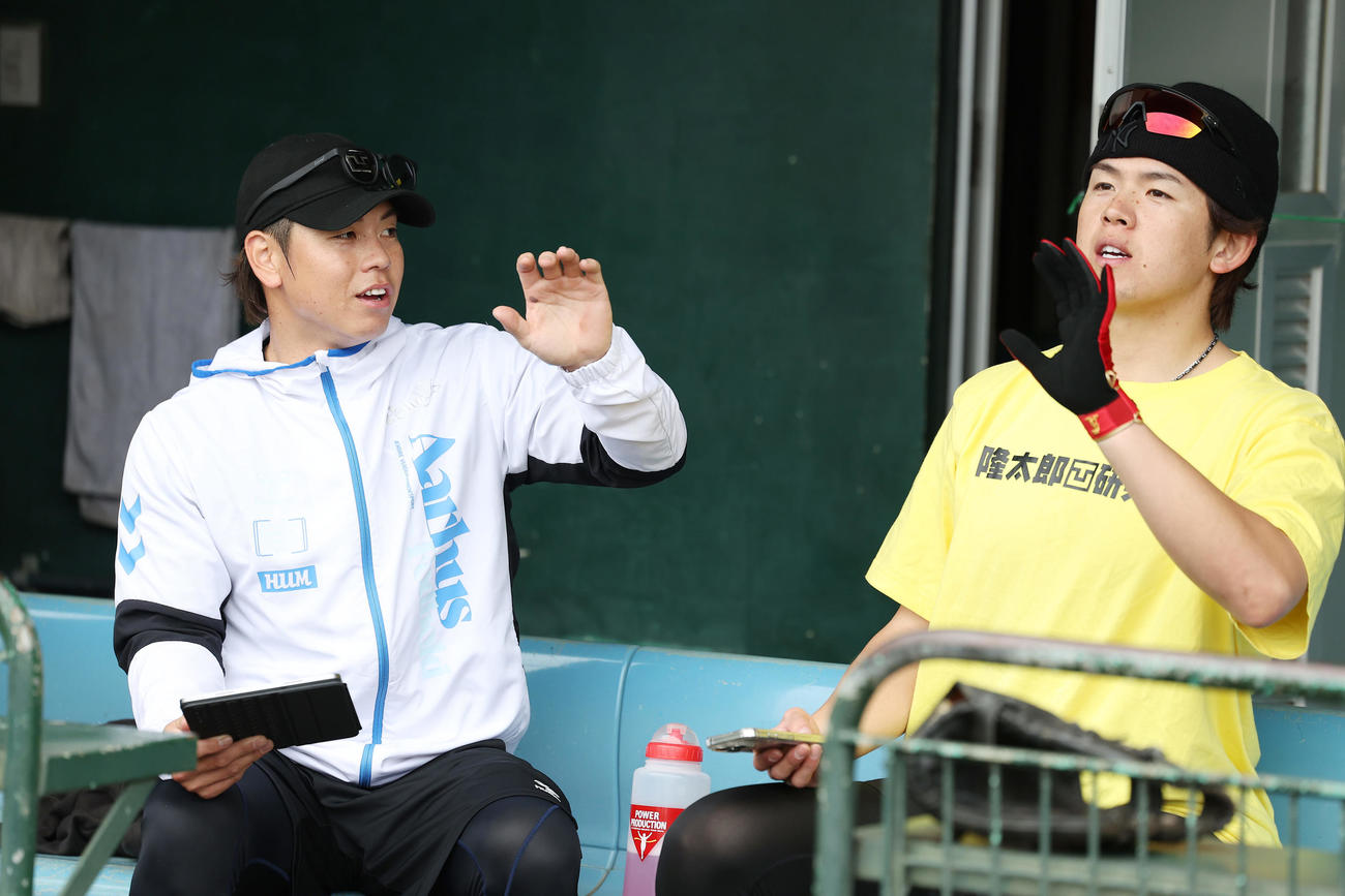 自主トレを公開した阪神梅野。右は日本ハム清水優（撮影・前田充）