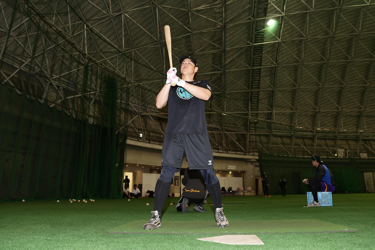 自主トレを公開し、打撃練習に臨む阪神梅野（撮影・前田充）
