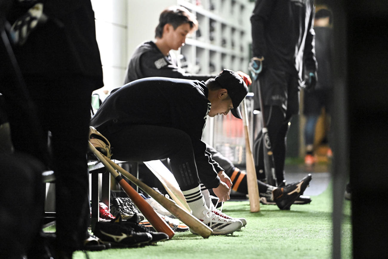 自主トレを公開した巨人吉川（中央）