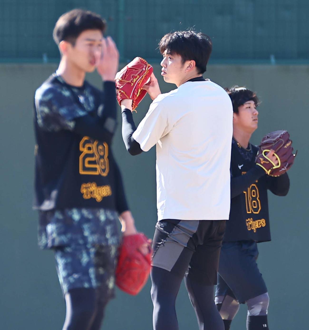 才木（中央）は今朝丸（左）伊原陵人と同じグラウンドでトレーニングをする（撮影・上田博志）