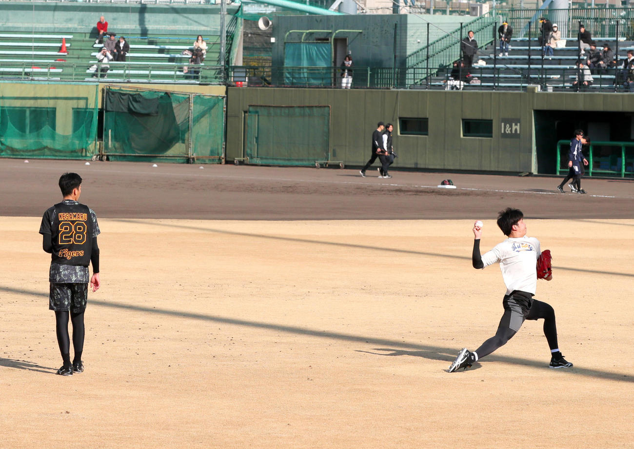 鳴尾浜球場でキャッチボールする阪神才木（右）を見る阪神今朝丸（撮影・上山淳一）