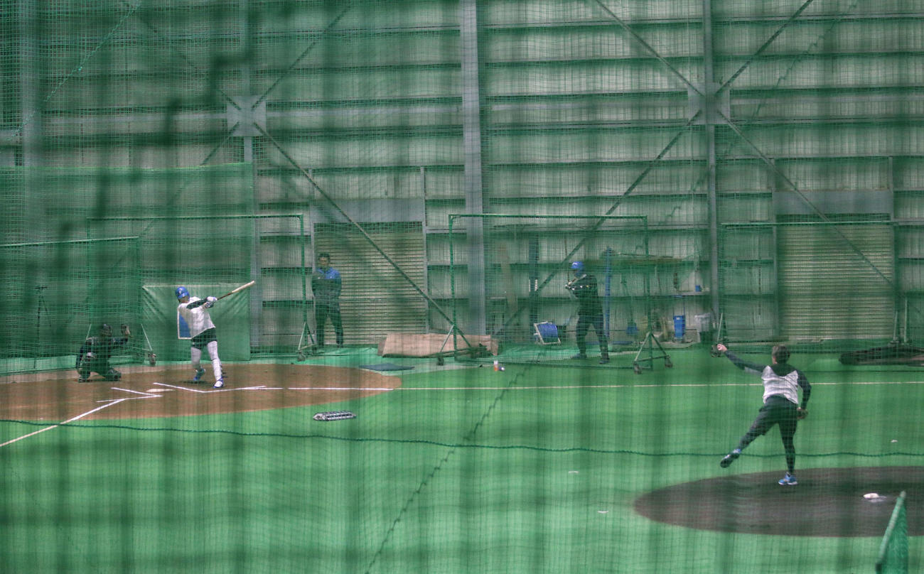 千葉・鎌ケ谷の球団施設でライブBPに登板した日本ハム根本（打者は星野）（撮影・木下大輔）
