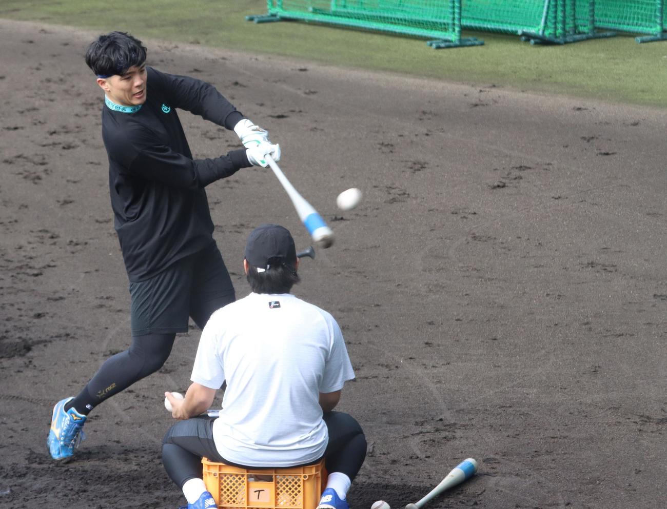 先乗り自主トレで打撃練習に励む日本ハム郡司（撮影・永野高輔）