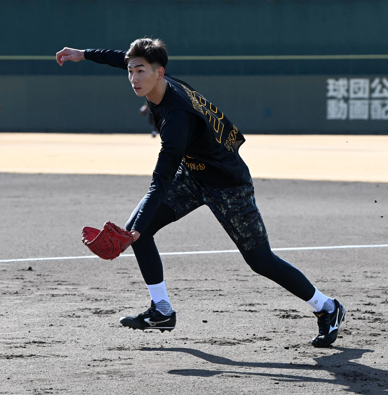 ノックを受ける阪神今朝丸（撮影・前岡正明）