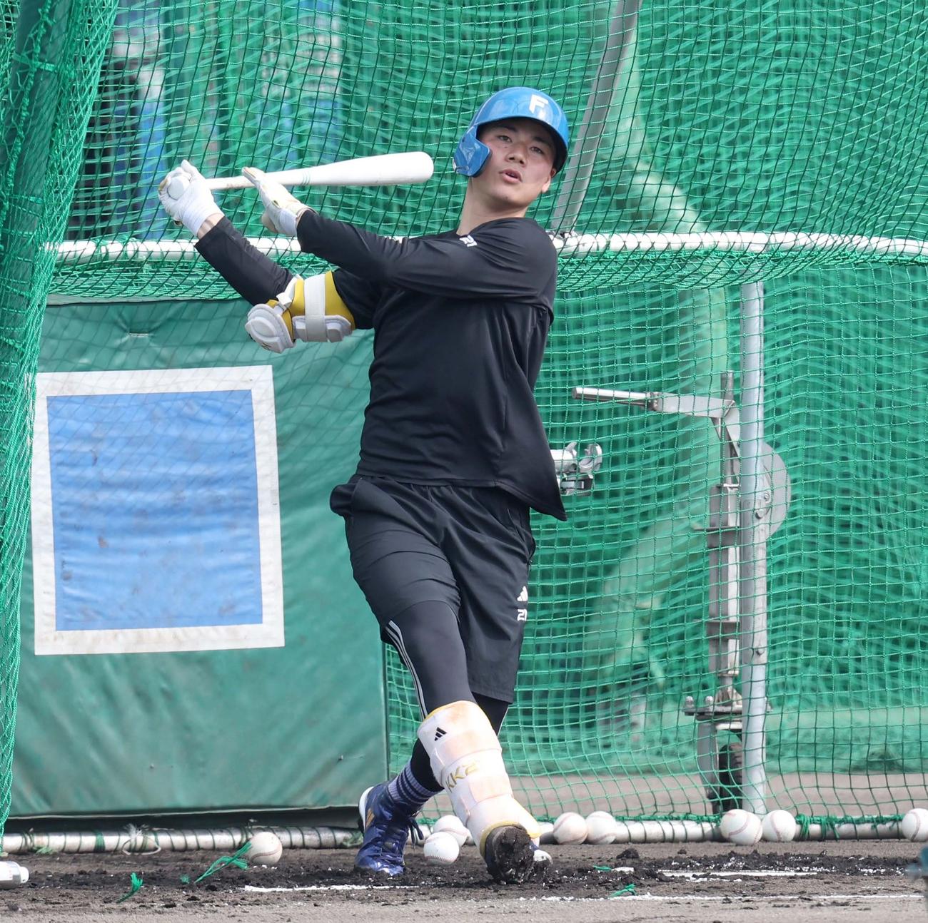 フリー打撃する日本ハム清宮幸（撮影・黒川智章）