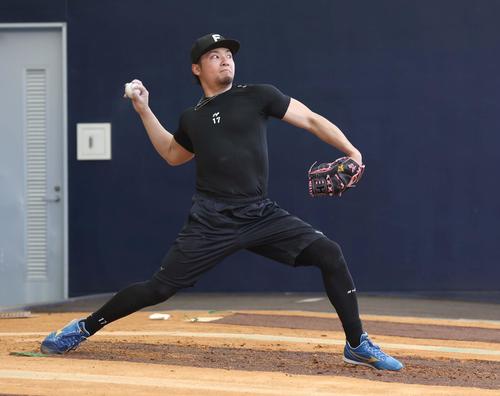伊藤大海　湯浅京己　松井裕樹　１０枚限定　パッチ　２０２３　ＢＢＭ　ジェネシス 日本ハム】伊藤大海「寒い」半袖シャツから野太い腕 “火曜ブルペン入り