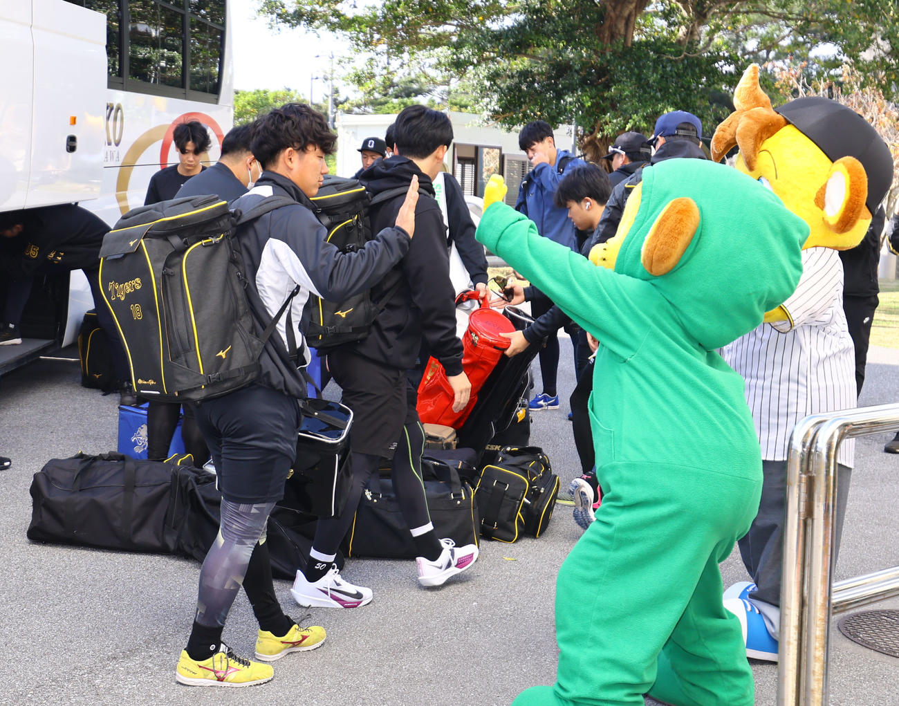 球場に到着し、キー太とタッチを交わす阪神伊原（撮影・藤尾明華）