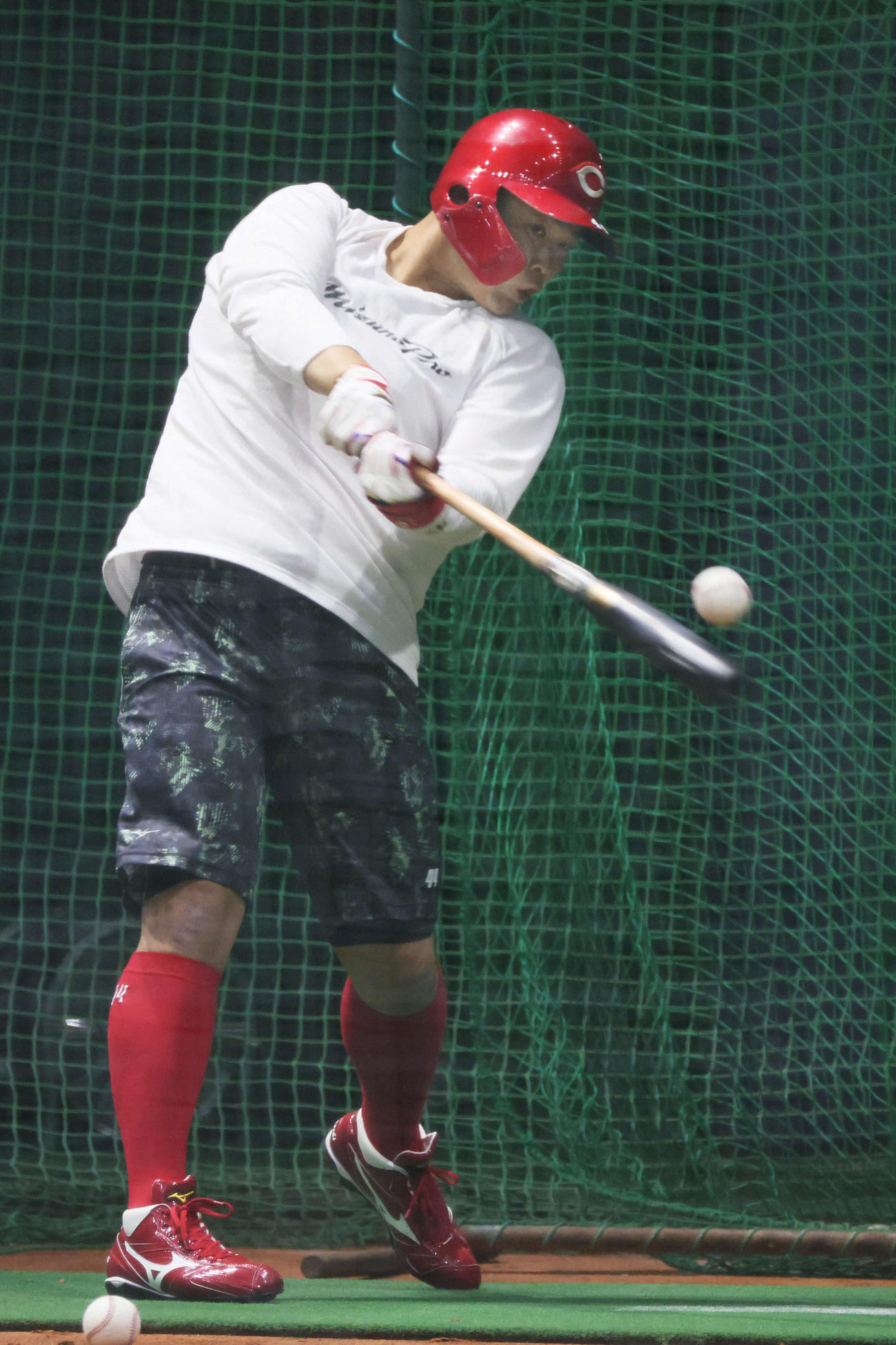 合同自主トレで、打撃練習をする広島林（撮影・加藤孝規）