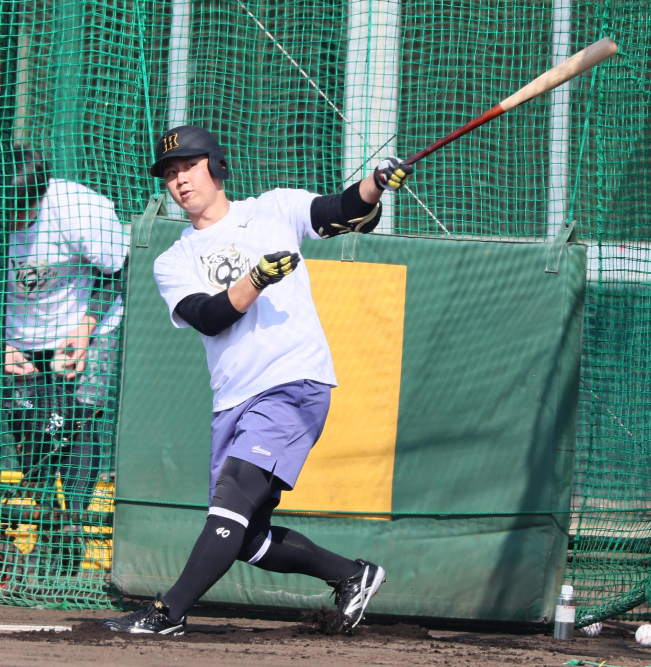 先乗り自主トレで打撃練習する井坪（撮影・加藤哉）