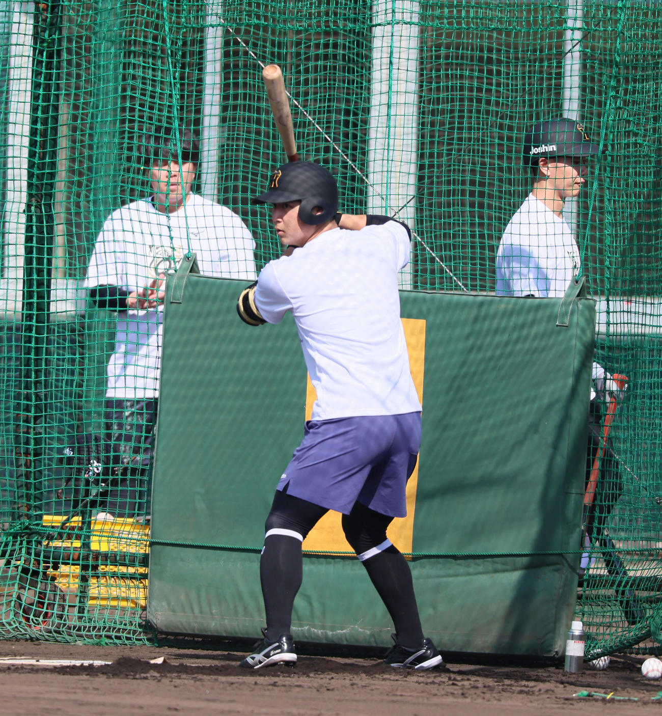 先乗り自主トレで打撃練習する井坪（撮影・加藤哉）