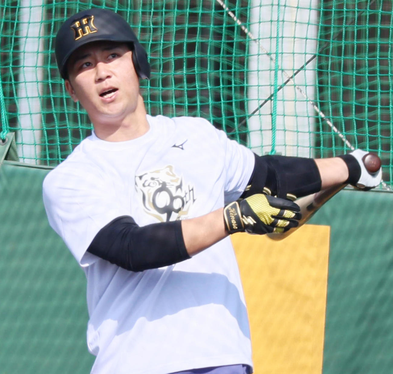 先乗り自主トレで打撃練習する井坪（撮影・加藤哉）