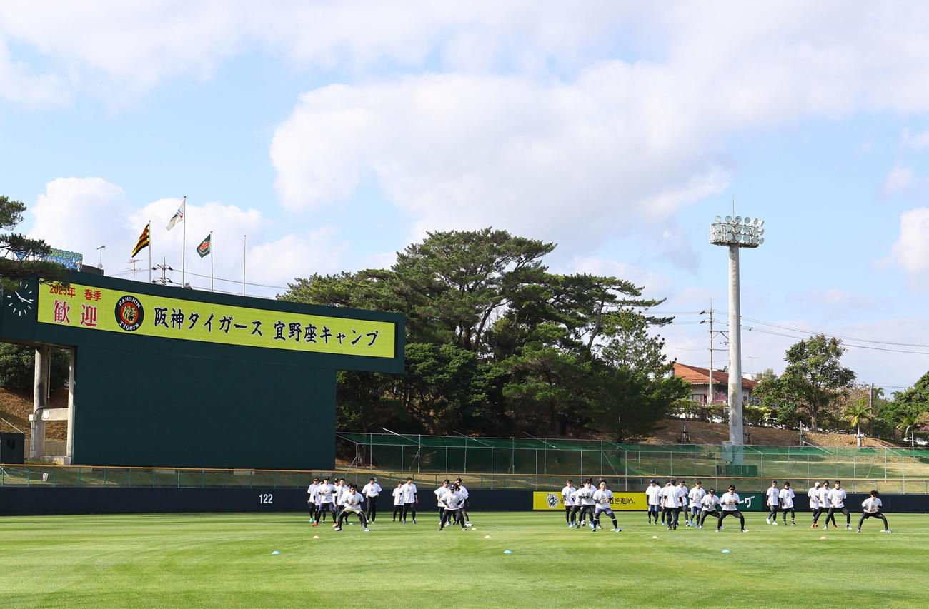 合同自主トレを行う阪神ナイン（撮影・藤尾明華）