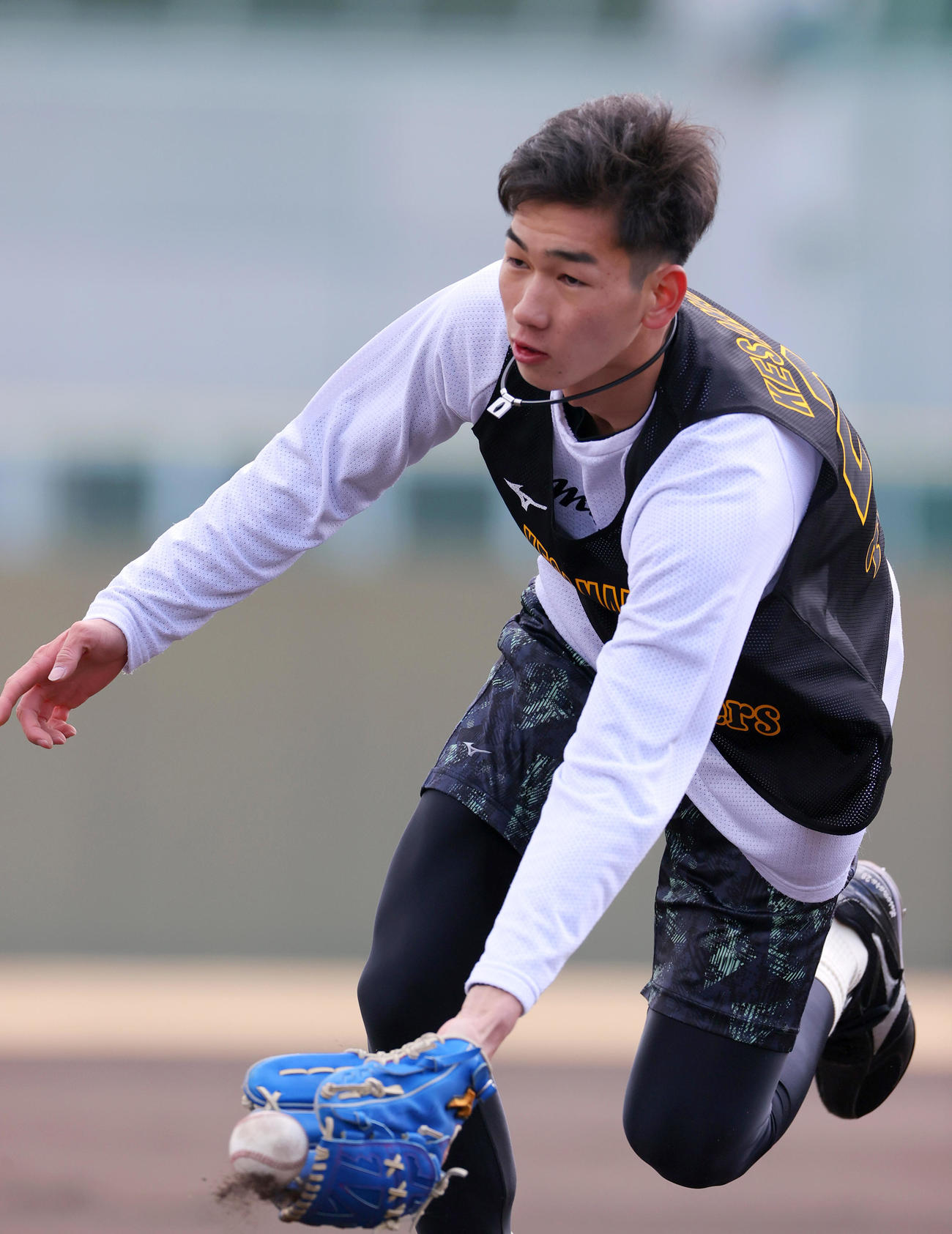 鳴尾浜球場で合同自主トレする阪神今朝丸（撮影・上山淳一）