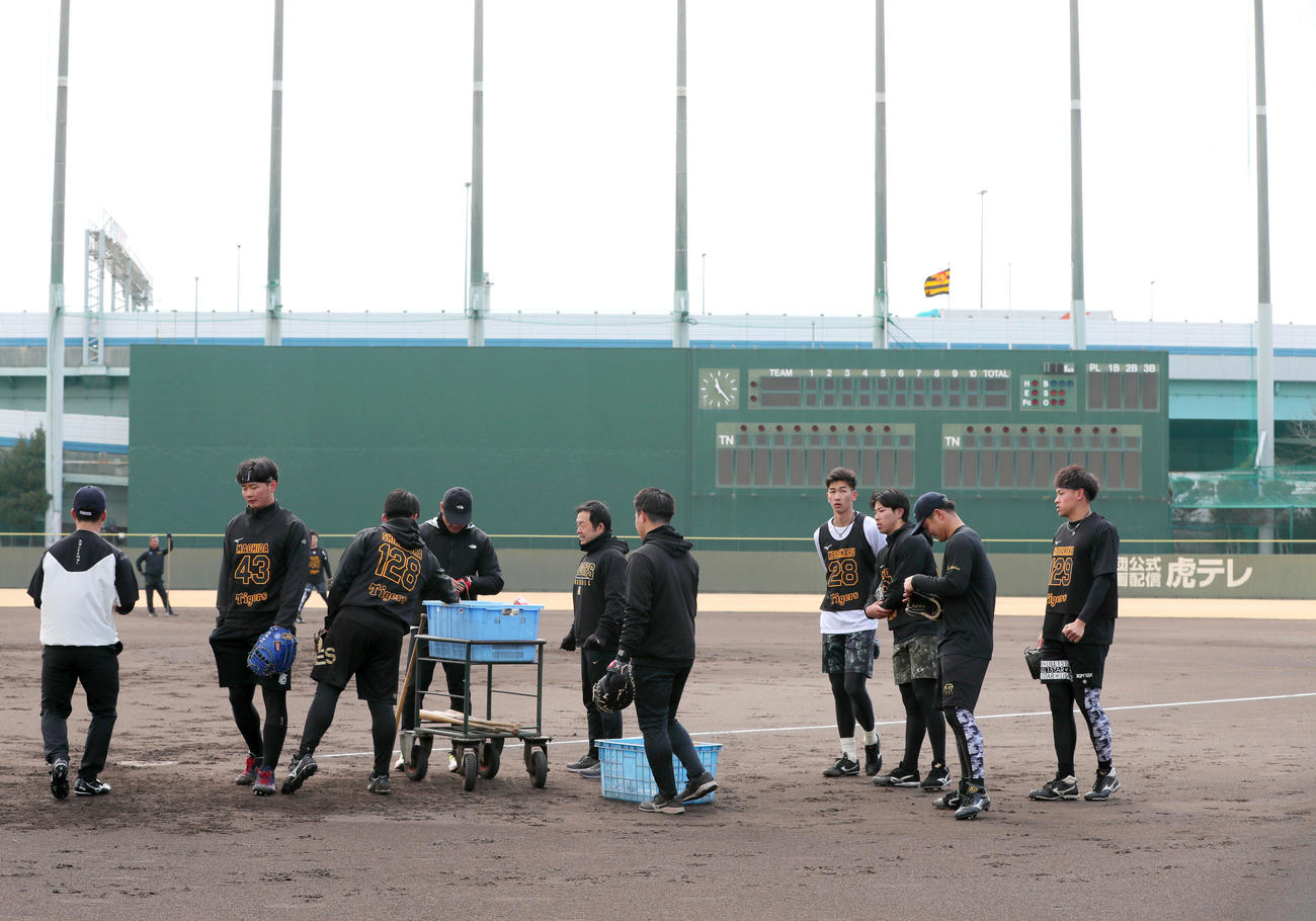 鳴尾浜球場で合同自主トレする阪神の新人ら（撮影・上山淳一）