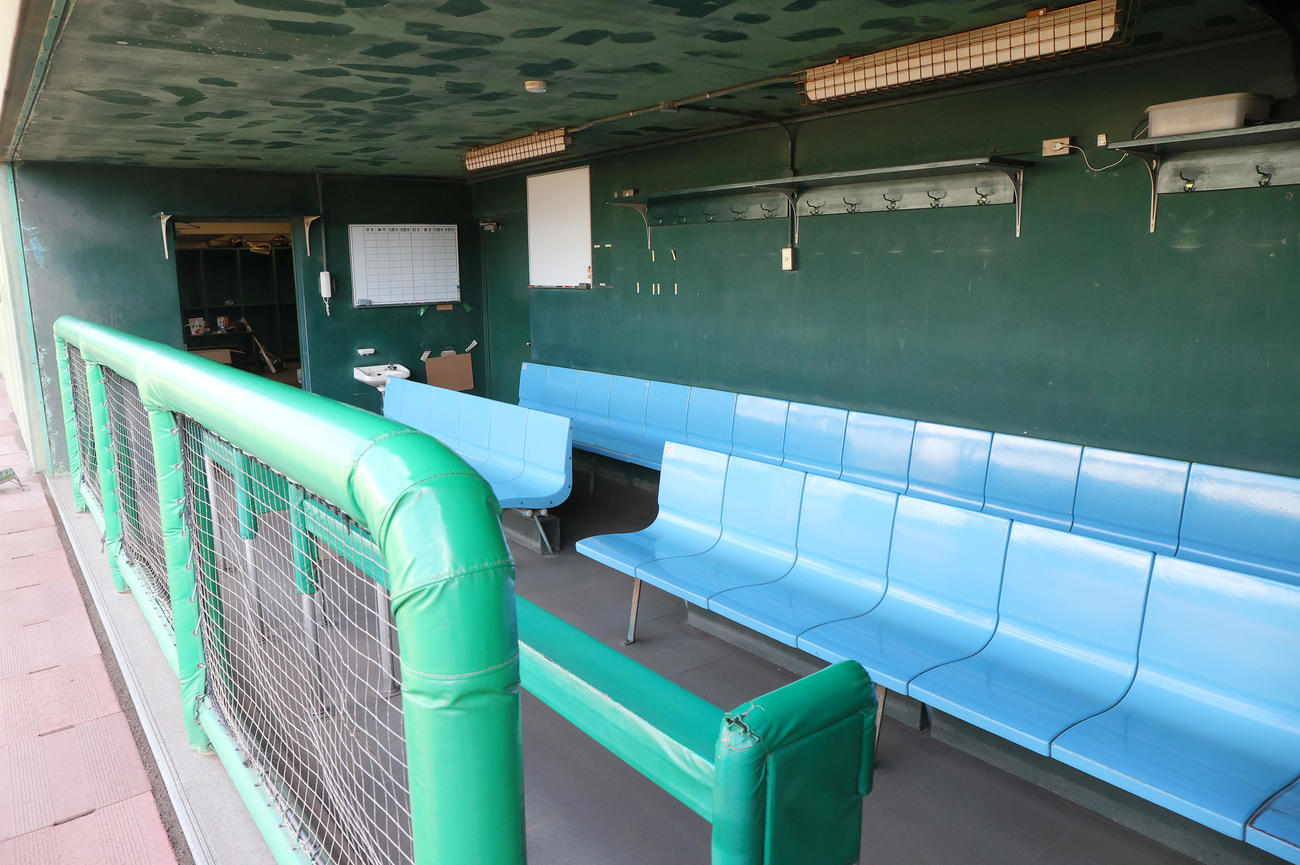鳴尾浜球場の阪神三塁側ベンチ（撮影・上山淳一）＝2025年1月30日、鳴尾浜球場