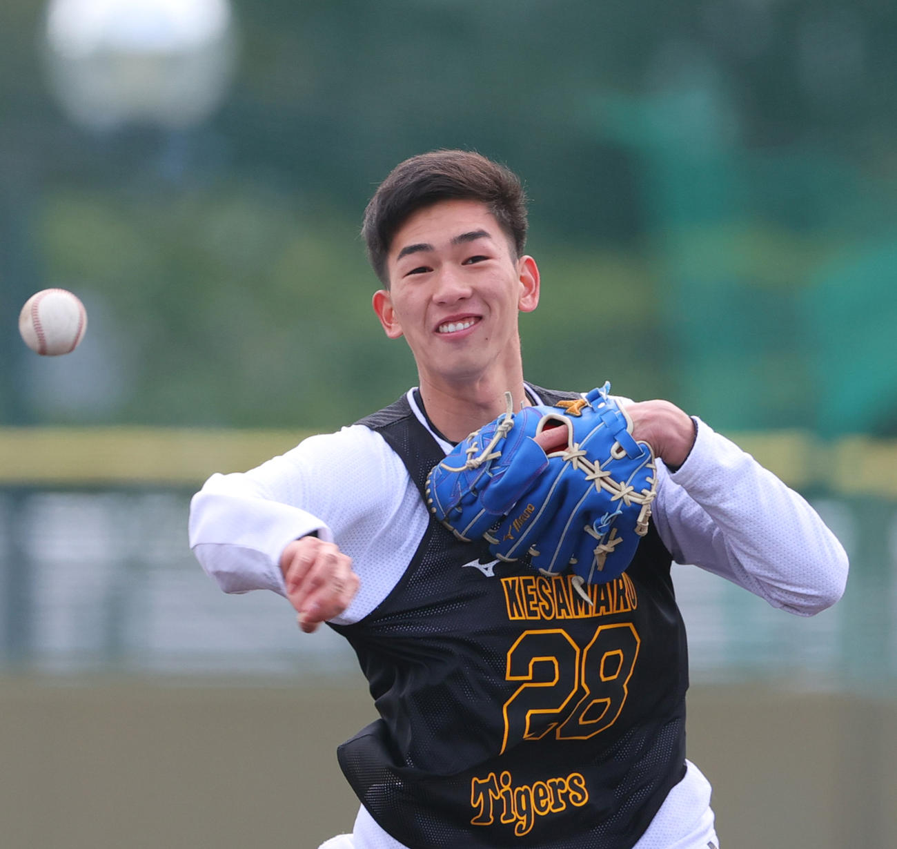 鳴尾浜球場で合同自主トレする阪神今朝丸（撮影・上山淳一）